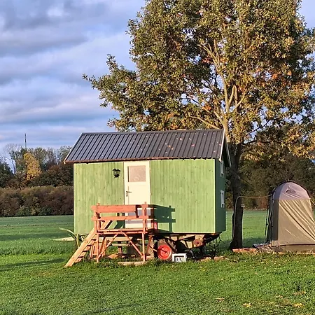 Luxuszelt Tiny House Munster (North Rhine-Westphalia)